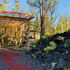 Exotic Garden At Amazing Volcano Fissure Mountain View